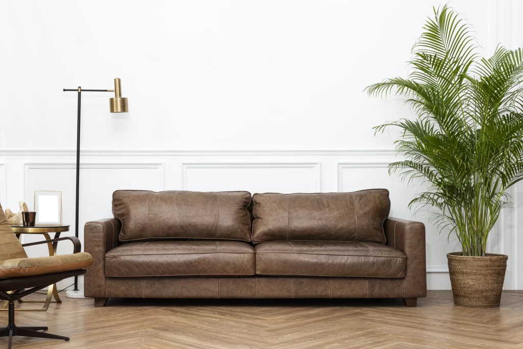 Limpeza de sofa no Guará