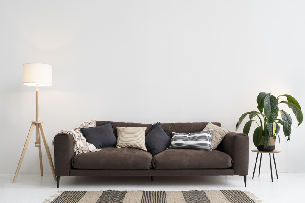 lavagem a seco de sofa em samambaia